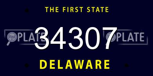 34307 Delaware License Plate