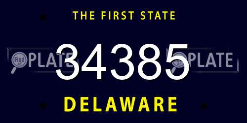 34385 Delaware License Plate