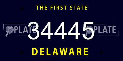 34445 Delaware License Plate