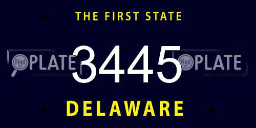 3445 Delaware License Plate