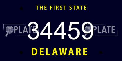 34459 Delaware License Plate