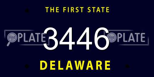3446 Delaware License Plate