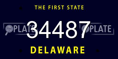 34487 Delaware License Plate
