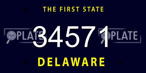 34571 Delaware License Plate