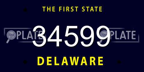 34599 Delaware License Plate