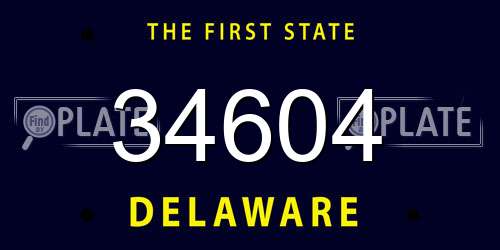 34604 Delaware License Plate