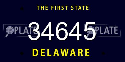 34645 Delaware License Plate