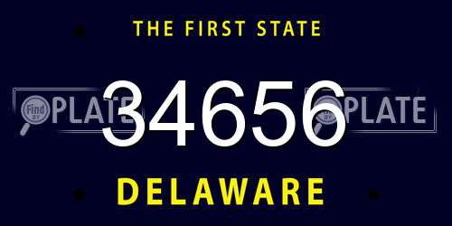 34656 Delaware License Plate
