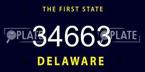 34663 Delaware License Plate
