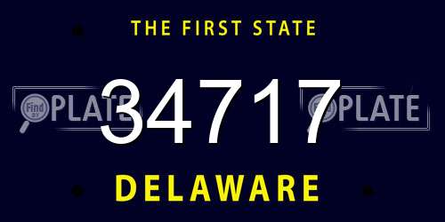 34717 Delaware License Plate