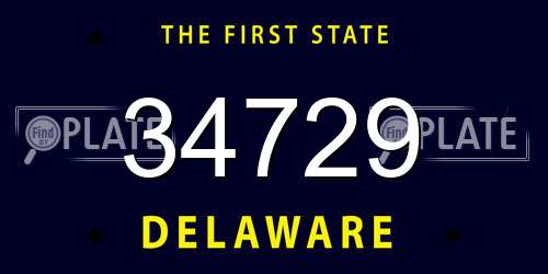 34729 Delaware License Plate
