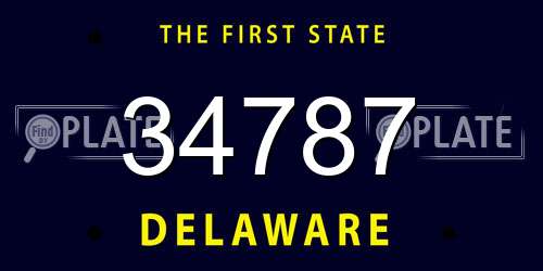 34787 Delaware License Plate