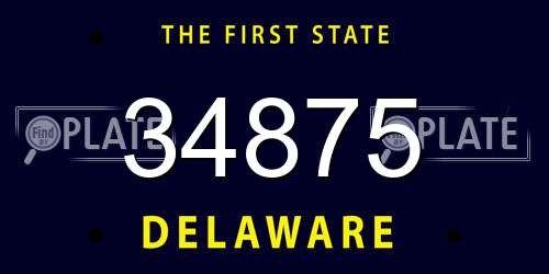 34875 Delaware License Plate