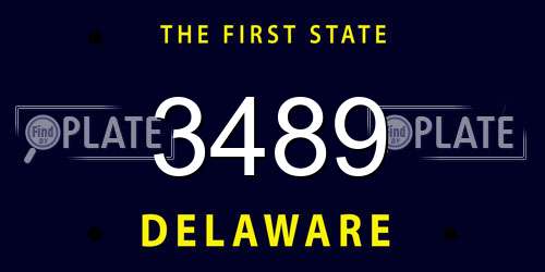 3489 Delaware License Plate