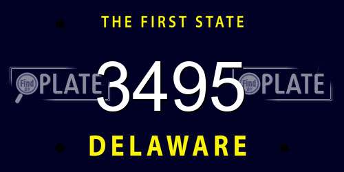 3495 Delaware License Plate