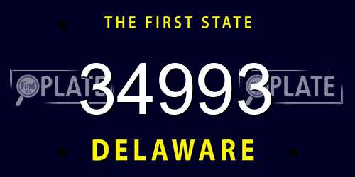 34993 Delaware License Plate
