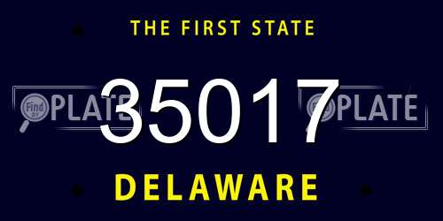 35017 Delaware License Plate