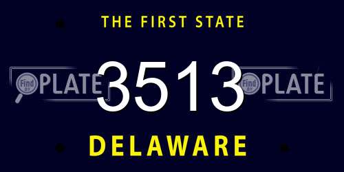 3513 Delaware License Plate