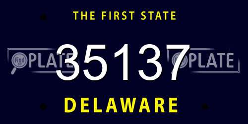 35137 Delaware License Plate