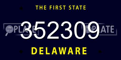 352309 Delaware License Plate