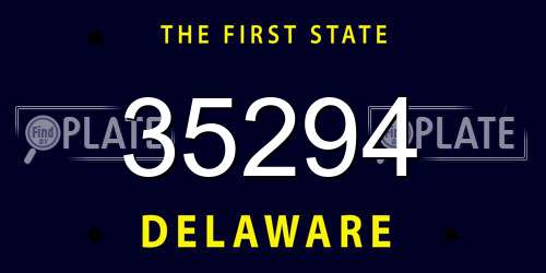 35294 Delaware License Plate