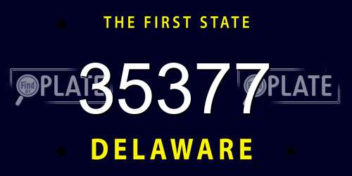 35377 Delaware License Plate