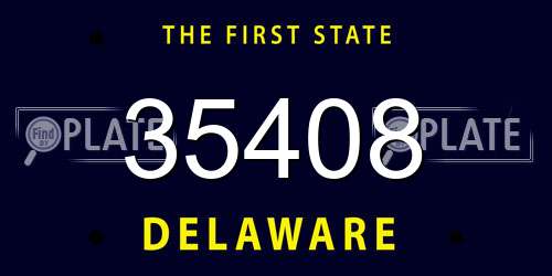 35408 Delaware License Plate