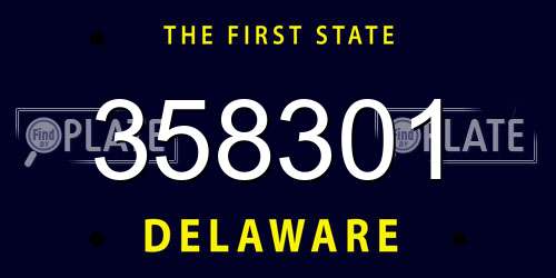 358301 Delaware License Plate