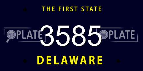 3585 Delaware License Plate
