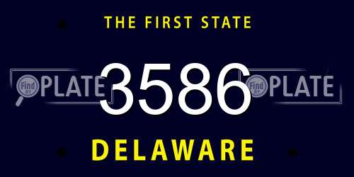 3586 Delaware License Plate
