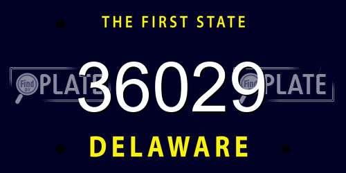 36029 Delaware License Plate