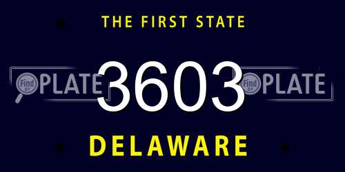 3603 Delaware License Plate