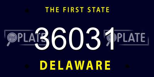 36031 Delaware License Plate