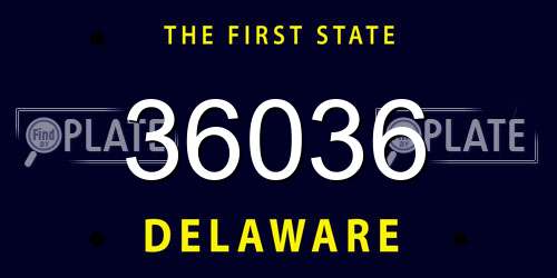 36036 Delaware License Plate