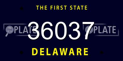 36037 Delaware License Plate