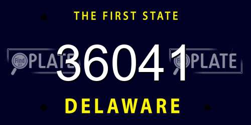 36041 Delaware License Plate
