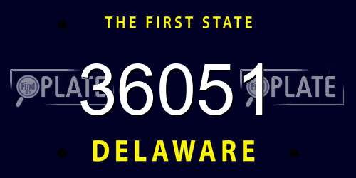 36051 Delaware License Plate