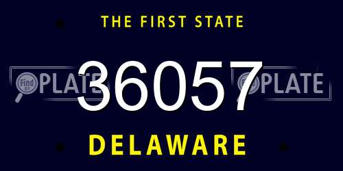 36057 Delaware License Plate