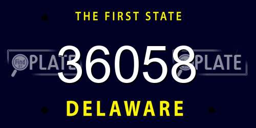 36058 Delaware License Plate