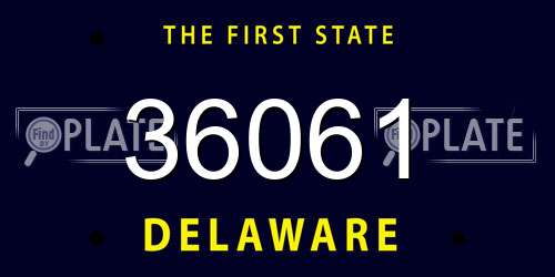 36061 Delaware License Plate
