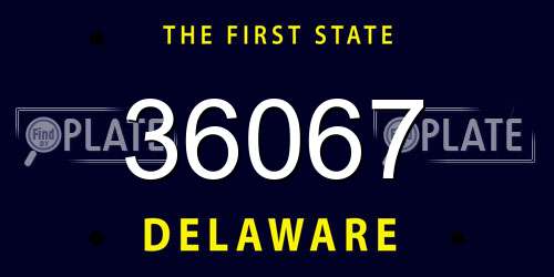 36067 Delaware License Plate