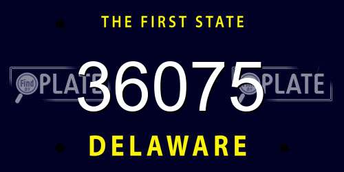 36075 Delaware License Plate