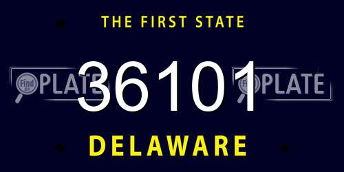 36101 Delaware License Plate
