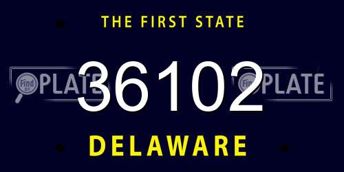 36102 Delaware License Plate