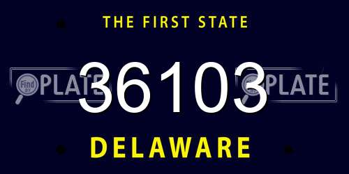 36103 Delaware License Plate