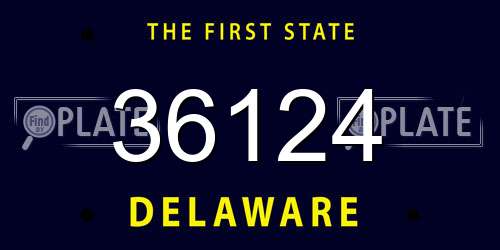 36124 Delaware License Plate
