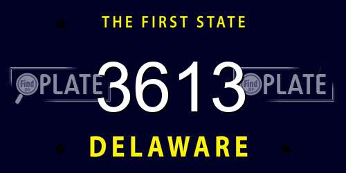 3613 Delaware License Plate