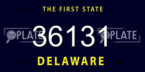 36131 Delaware License Plate