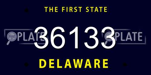 36133 Delaware License Plate