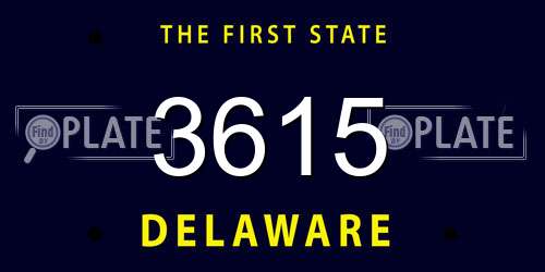 3615 Delaware License Plate